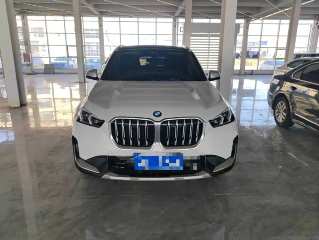 BMW X1 — миниатюра 2