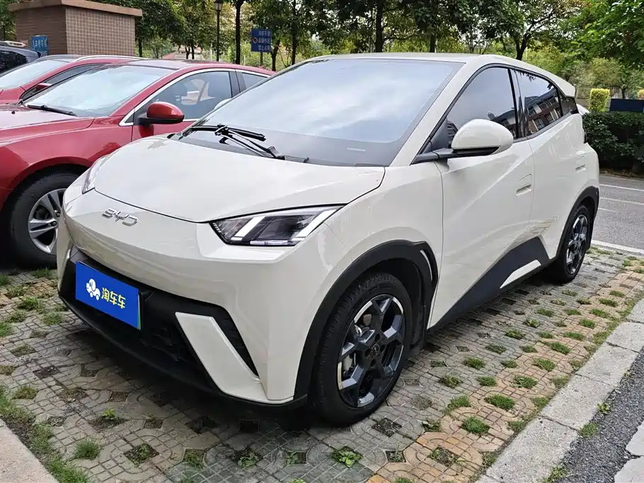 Byd Seagull 2024