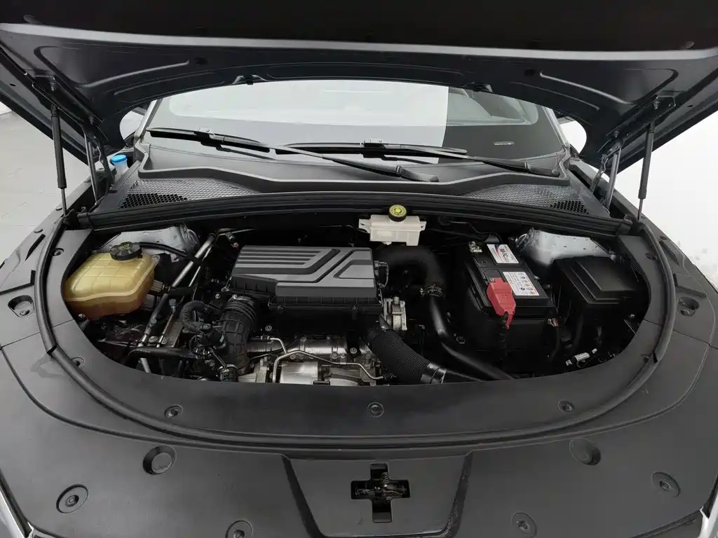 BYD PLUS — миниатюра 6