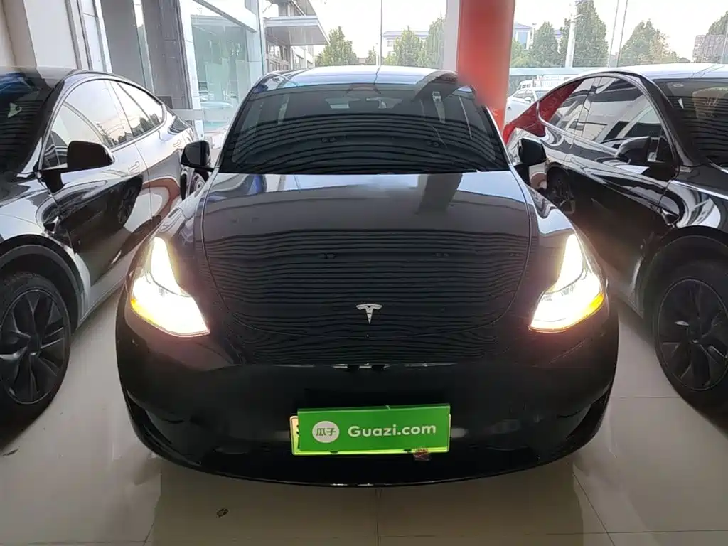 Tesla Model Y — миниатюра 3