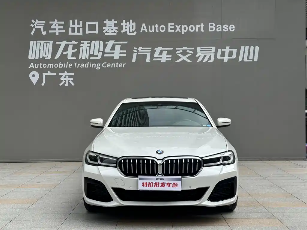BMW 5 Series — миниатюра 2