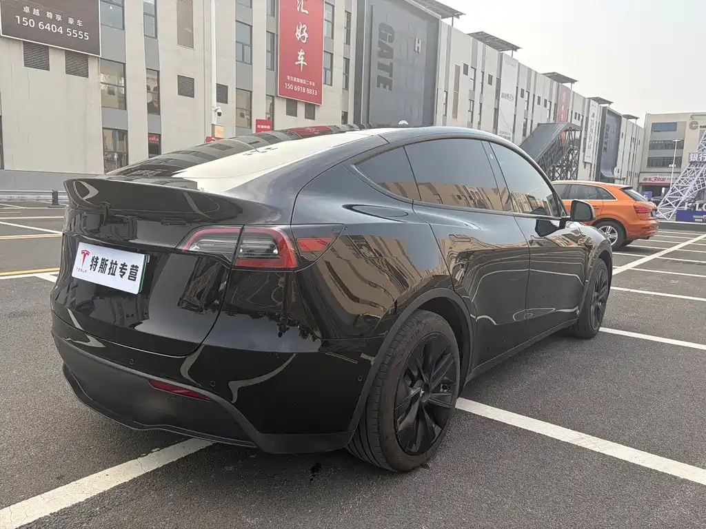 Tesla Model Y — миниатюра 6
