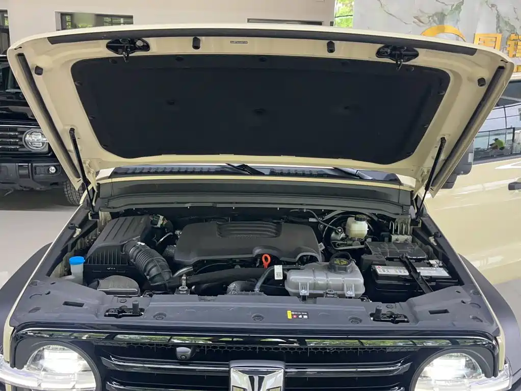 Tank 300 2025 2.0T