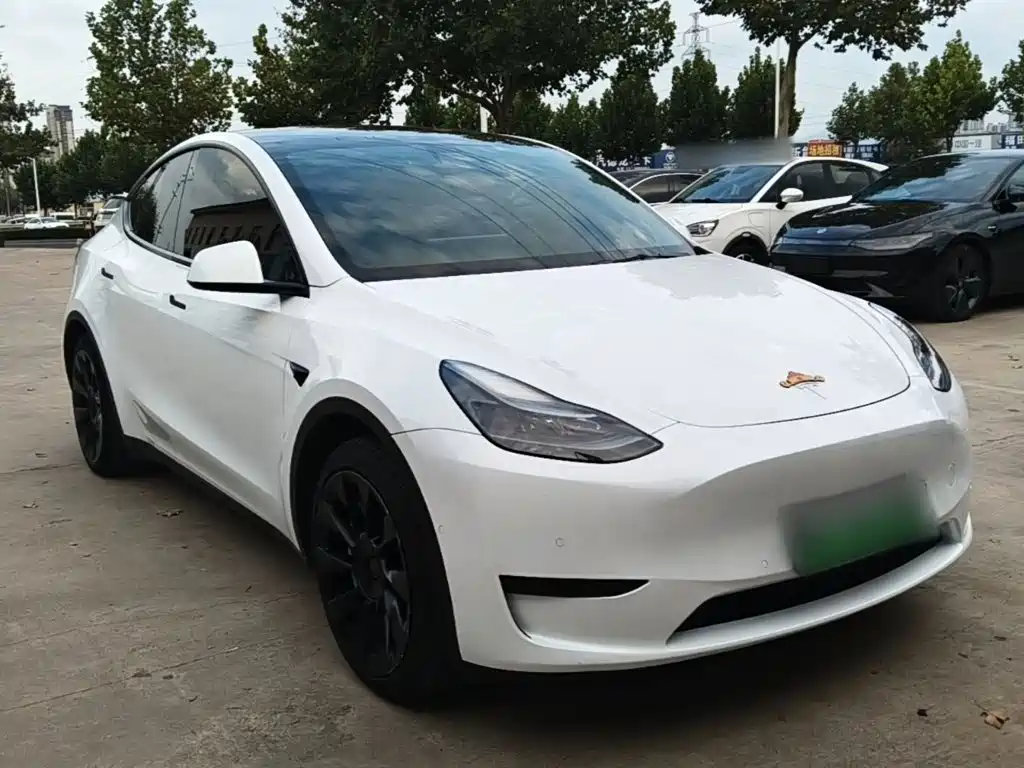 Tesla Model Y — миниатюра 4