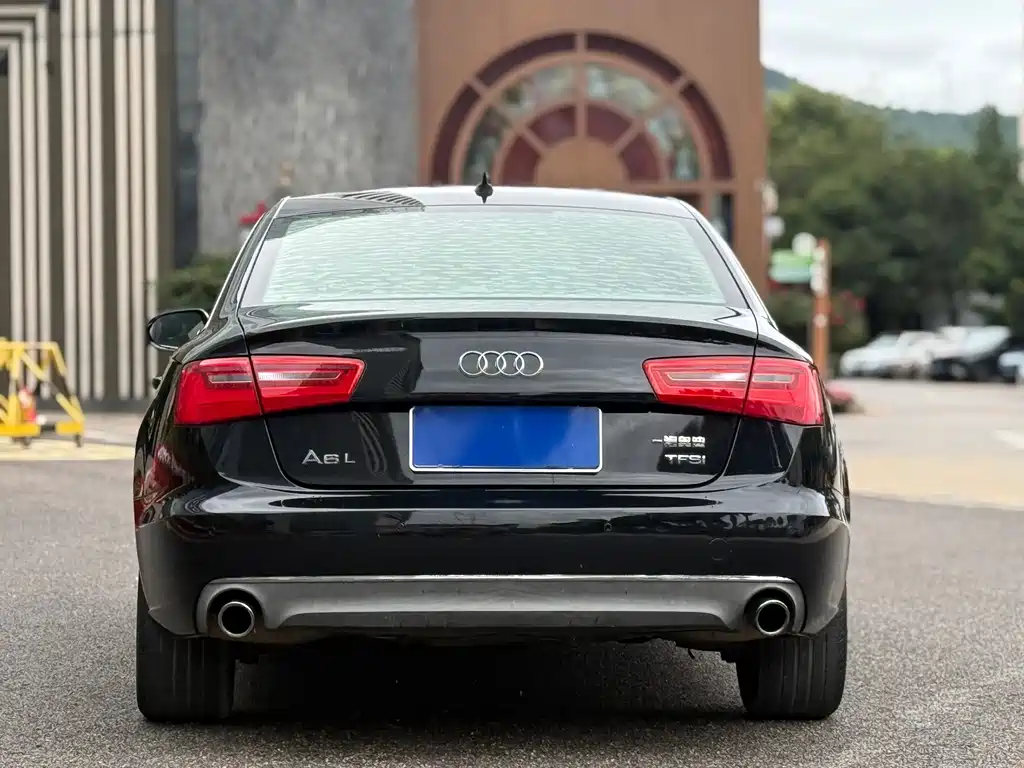Audi A6L TFSI Million Anniversary Smart Leader Type, фото 14