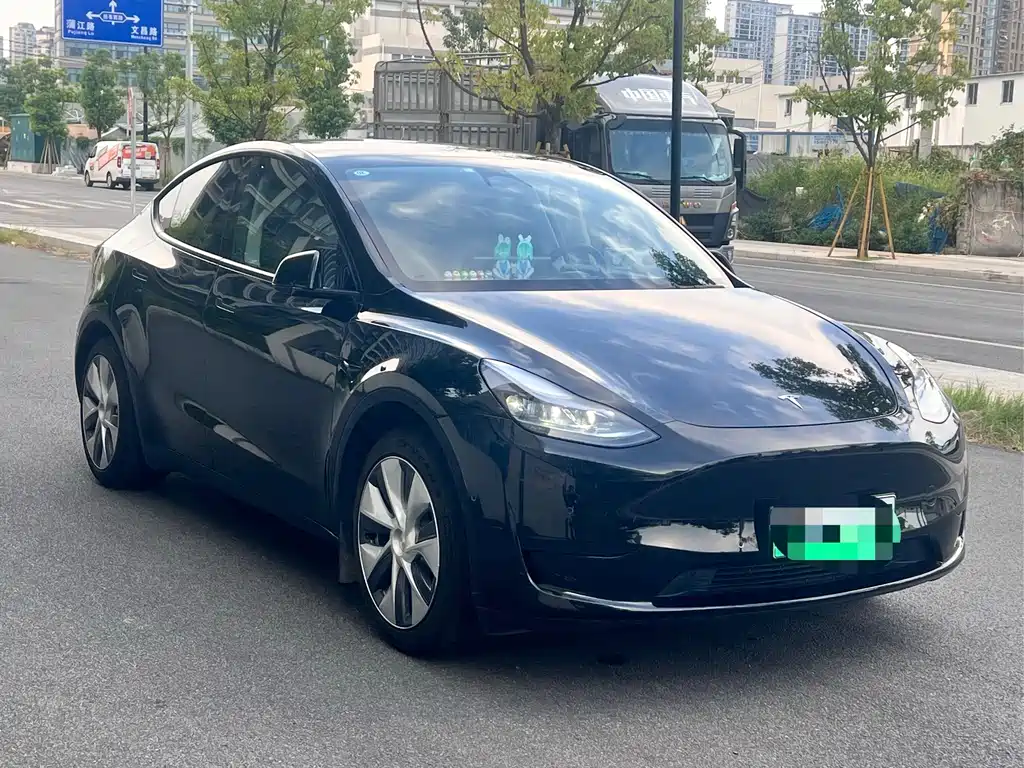 Tesla Model Y — миниатюра 3