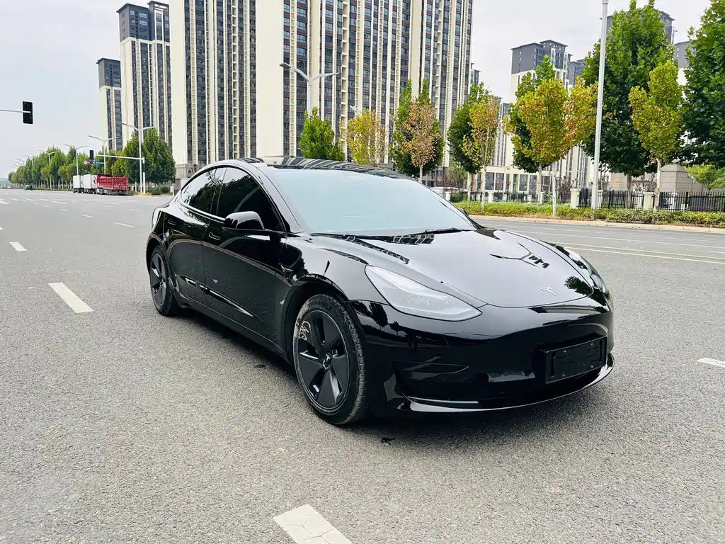 Tesla Model 3 — миниатюра 3