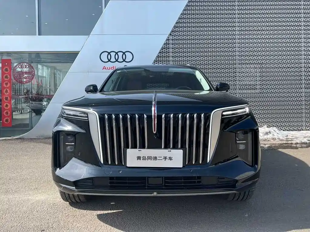 Hongqi E-HS9 2022 690km мест