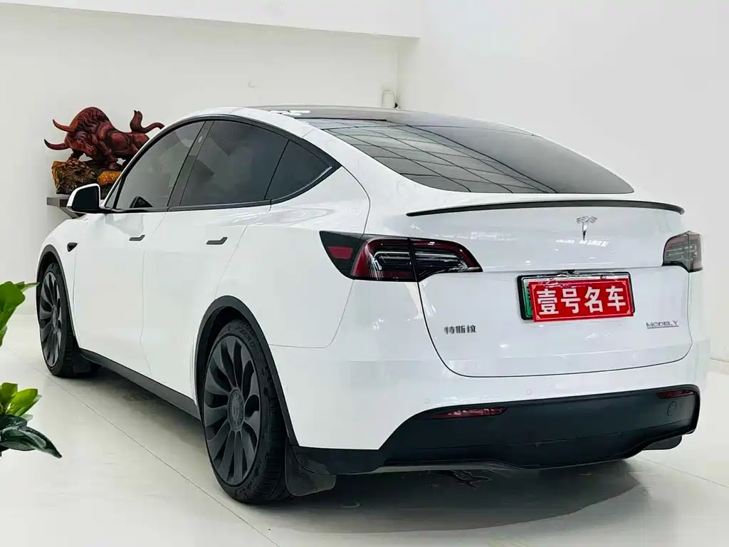 Tesla Model Y — миниатюра 6