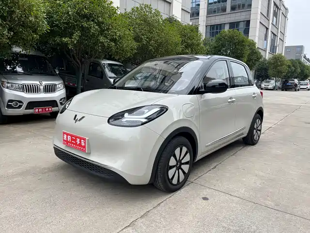 WULING AUTOMOBILE WULING BINGGUO 2025