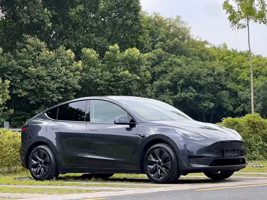 Tesla Model Y — миниатюра 3