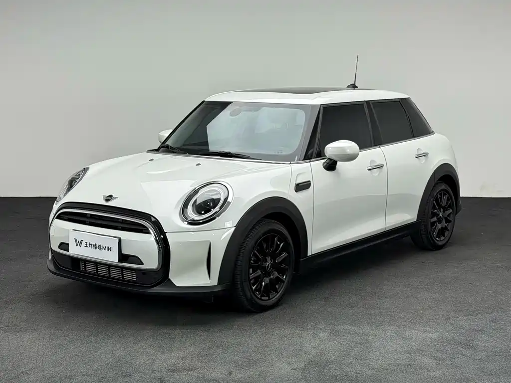 Mini Mini 2024