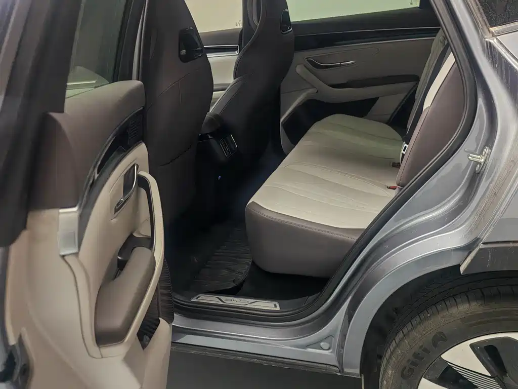 BYD SONGJIANG NEW ENERGY