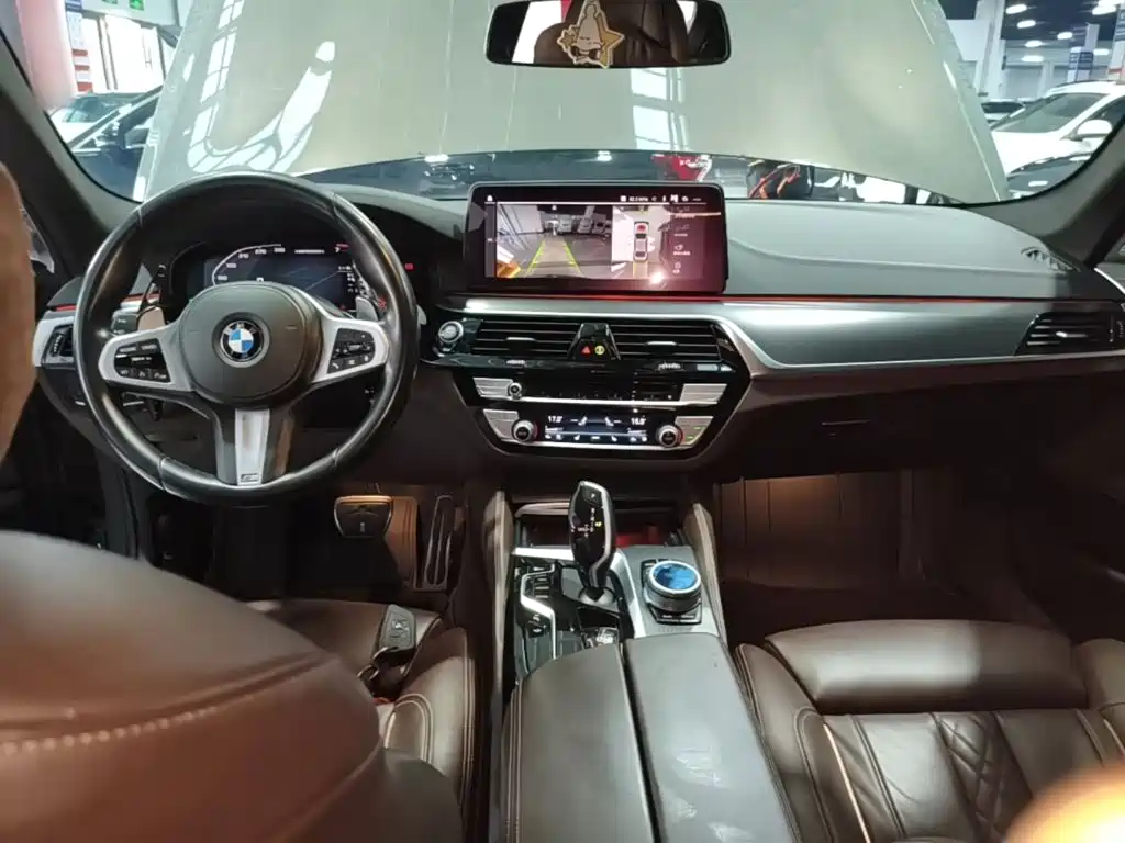 BMW 5 Series (Import) — миниатюра 10