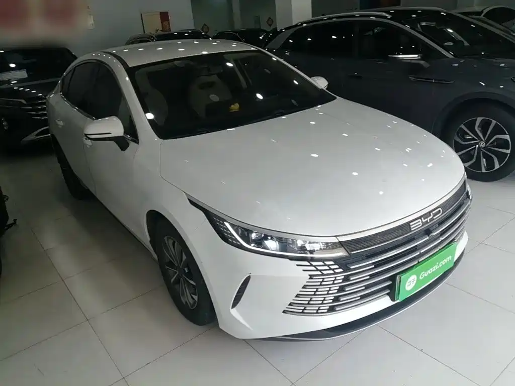 BYD Destroyer 05 2023 Champion DM-i 55KM Luxury
