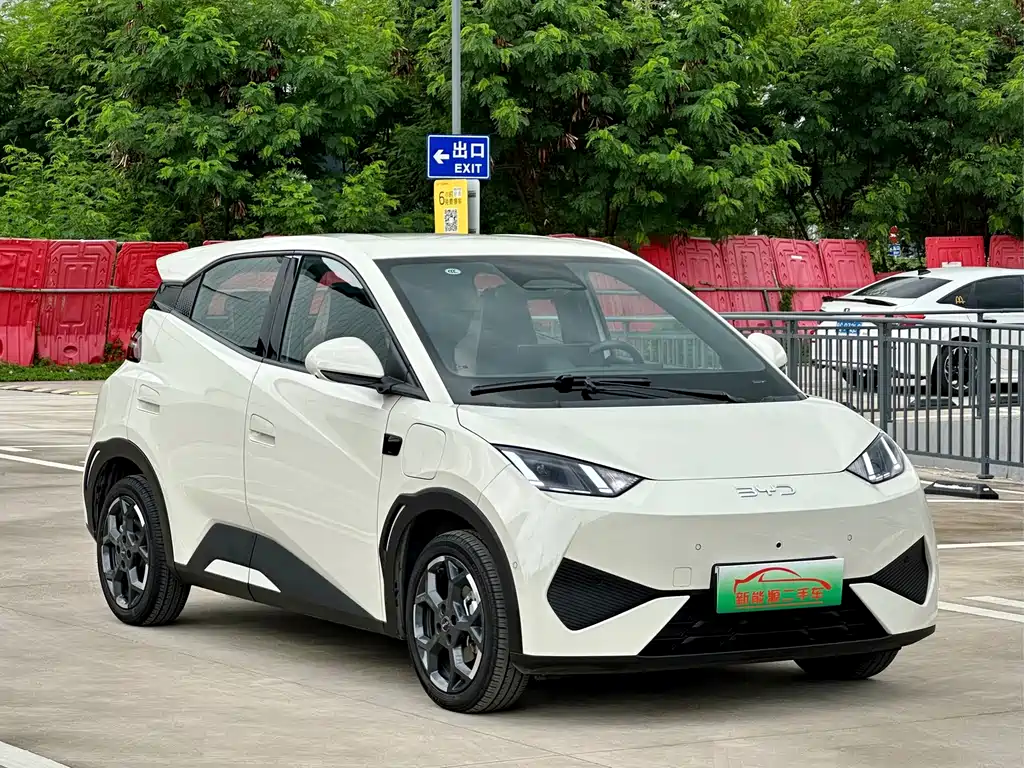 BYD Seagull 2025 Smart Drive 305km Freedom