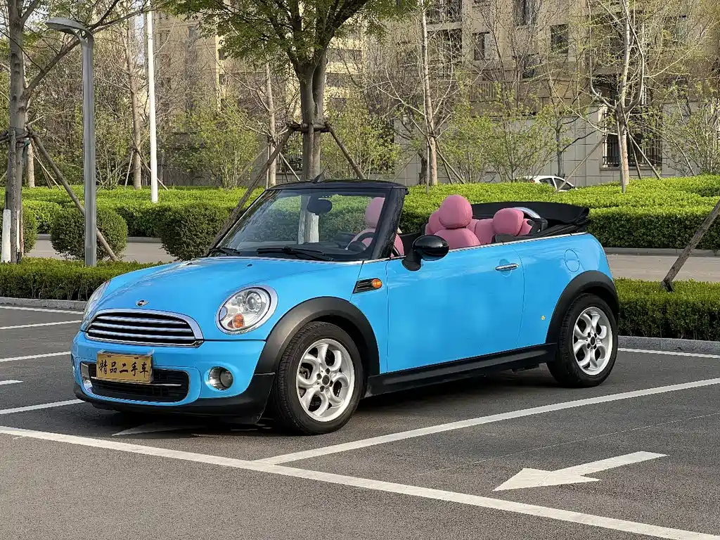Mini Mini 2012