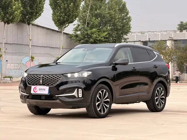 2020 Wey VV6