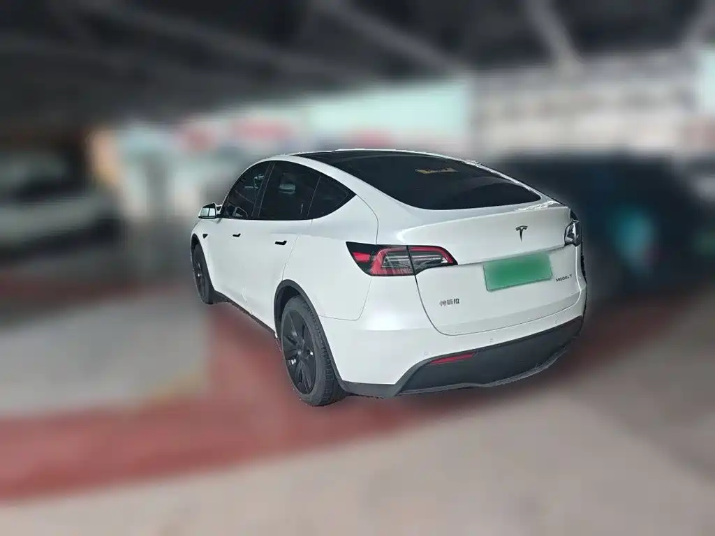 Tesla Model Y — миниатюра 4