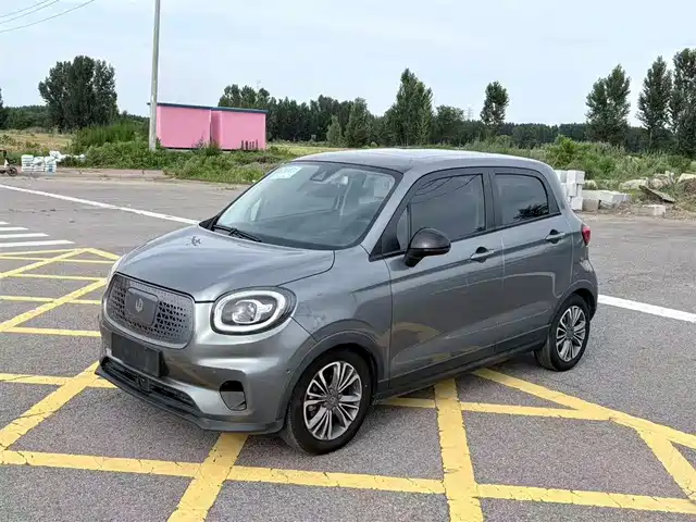 2020 Leapmotor T03