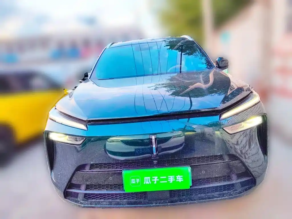 Wey Wey Lanshan — миниатюра 2