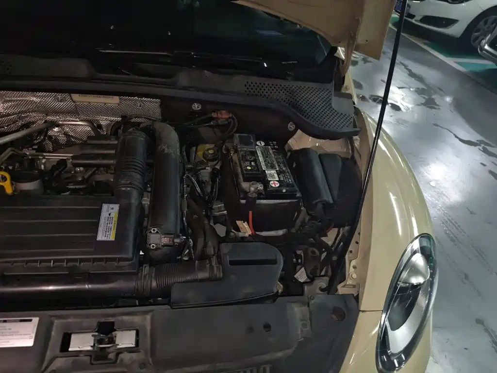 Volkswagen Beetle — миниатюра 21