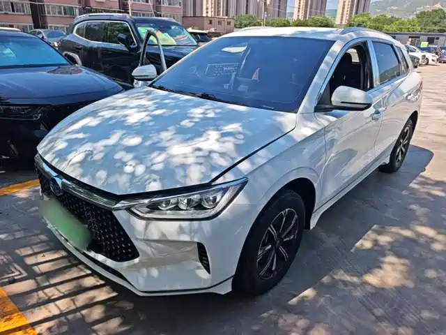 2021 BYD e2