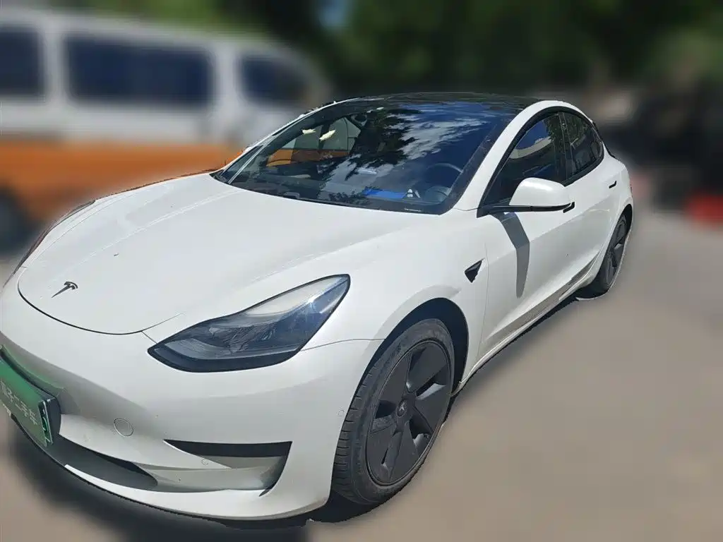 Tesla Model 3 2021 Facelift Standard Range RWD Upgrade Edition 3D1