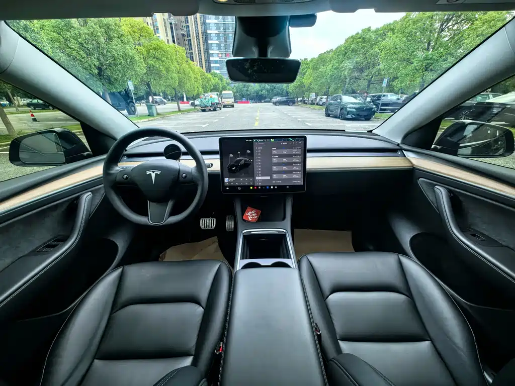 Tesla Model Y — миниатюра 7