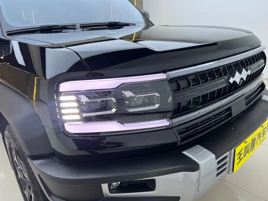 FANG CHENG BAO LEOPARD 5