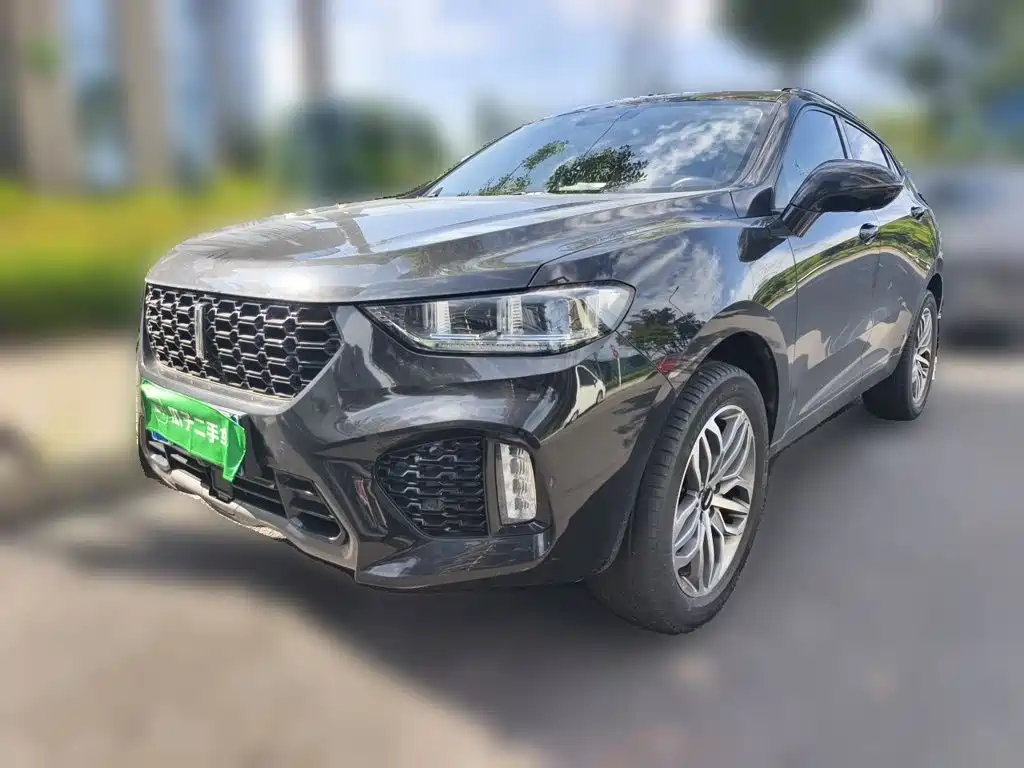 2018 Wey VV5 - zdjęcie 1 z 25