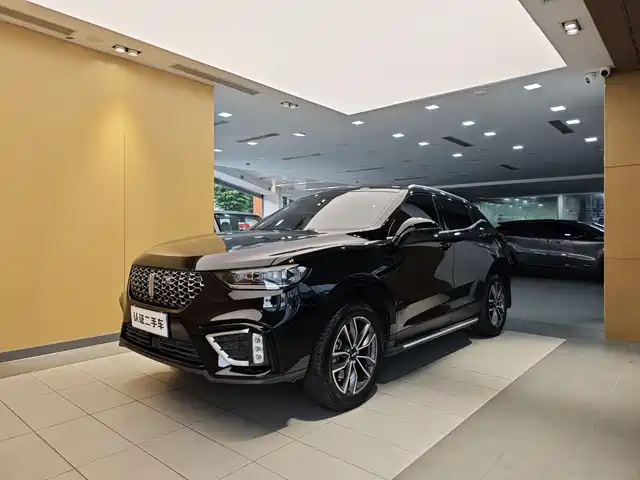 2021 Wey VV5