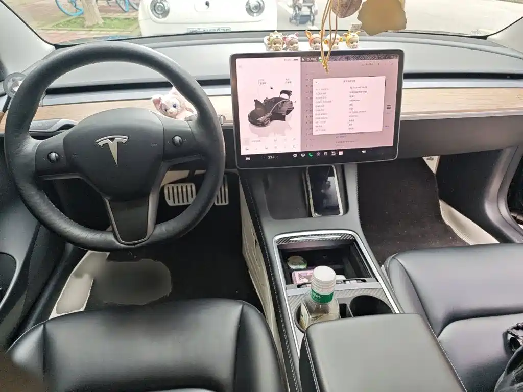 Tesla Model 3 — миниатюра 13