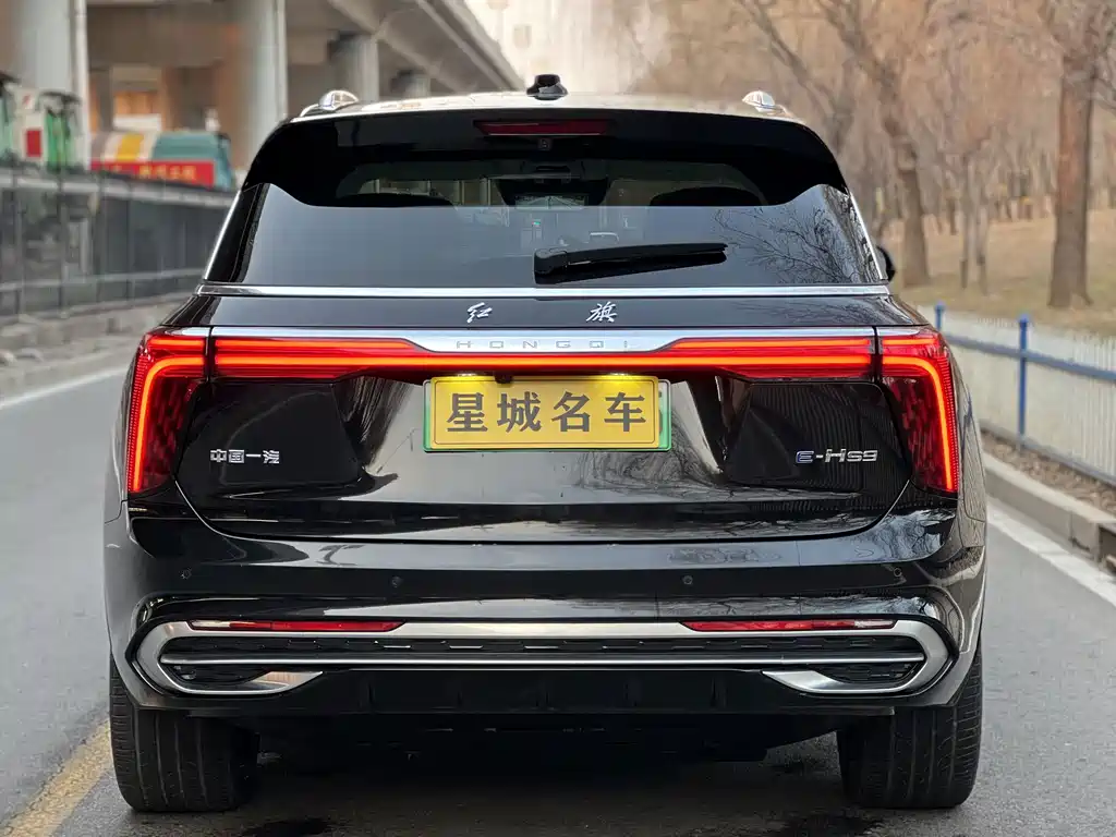 Hongqi Hongqi E-HS9 — миниатюра 5