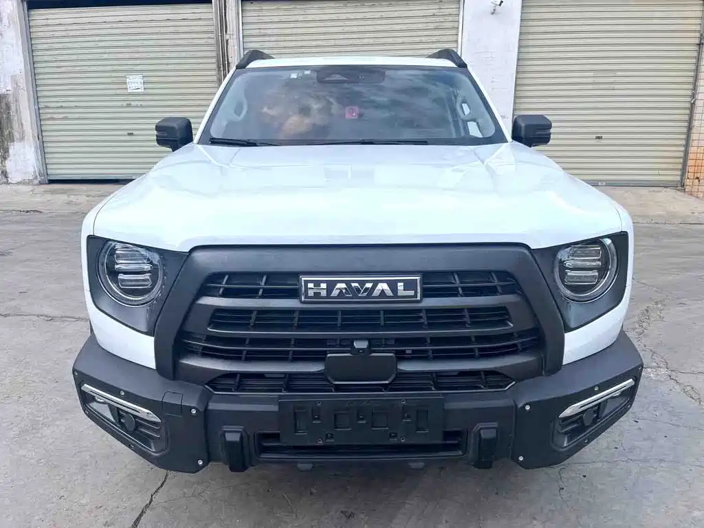 Haval Big Dog — миниатюра 2