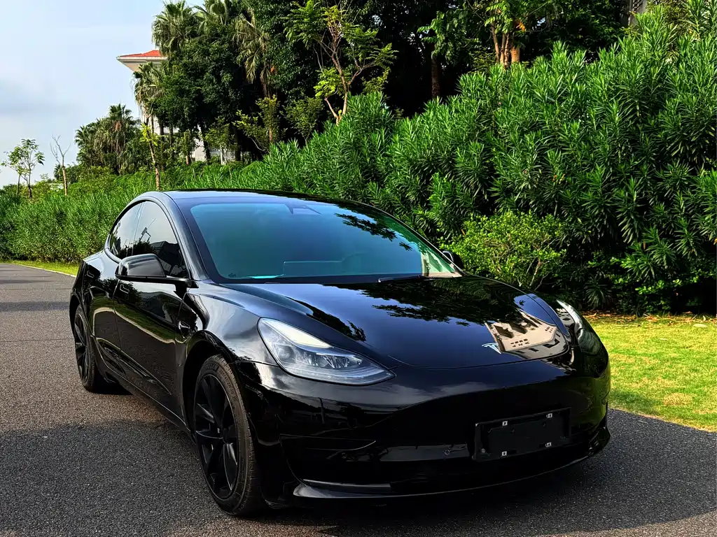 Tesla Model 3 — миниатюра 3