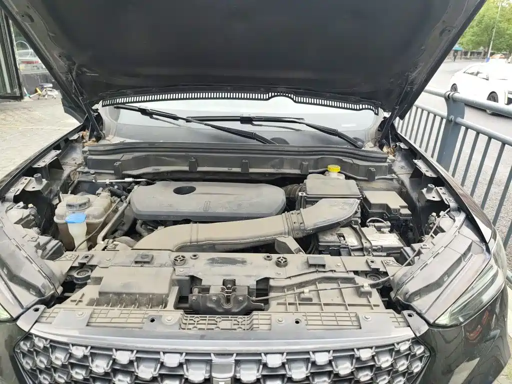 Wey Wey VV6 — миниатюра 16