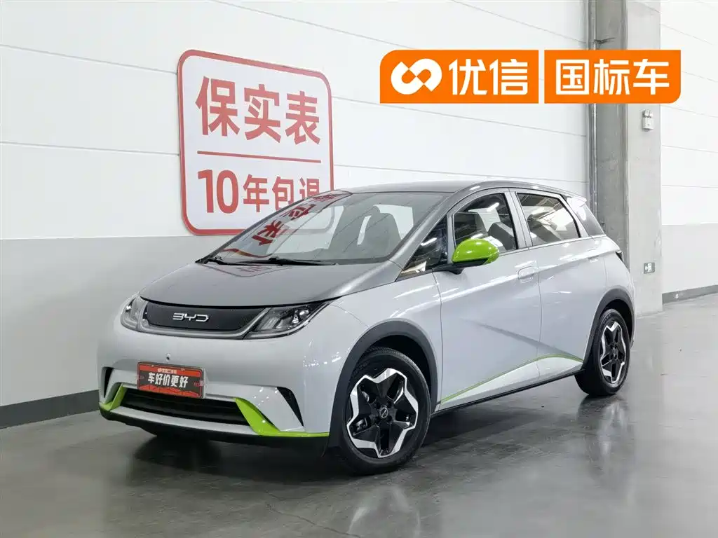 BYD Dolphin