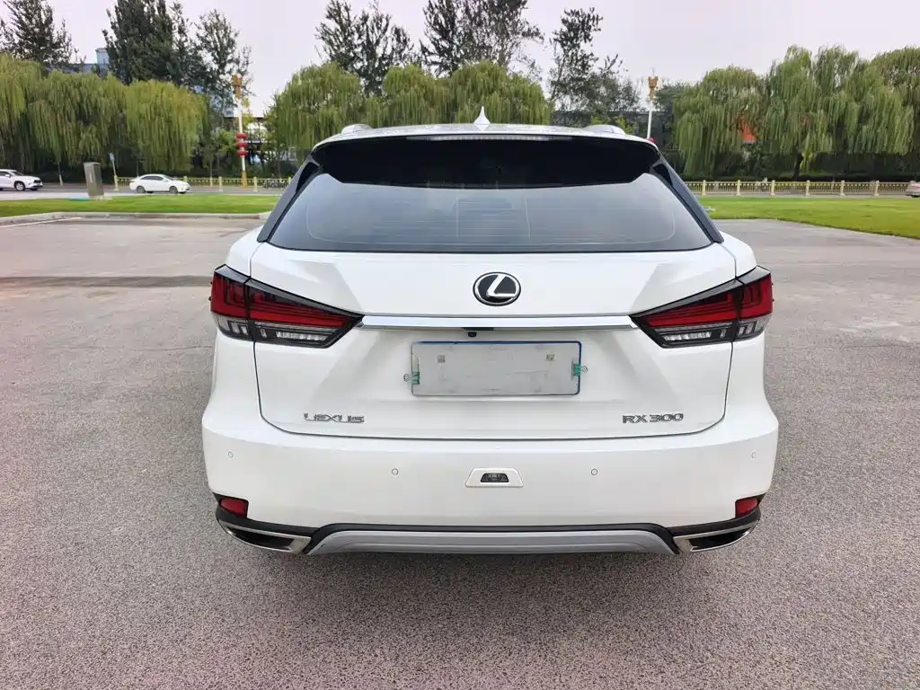 Lexus RX — миниатюра 6