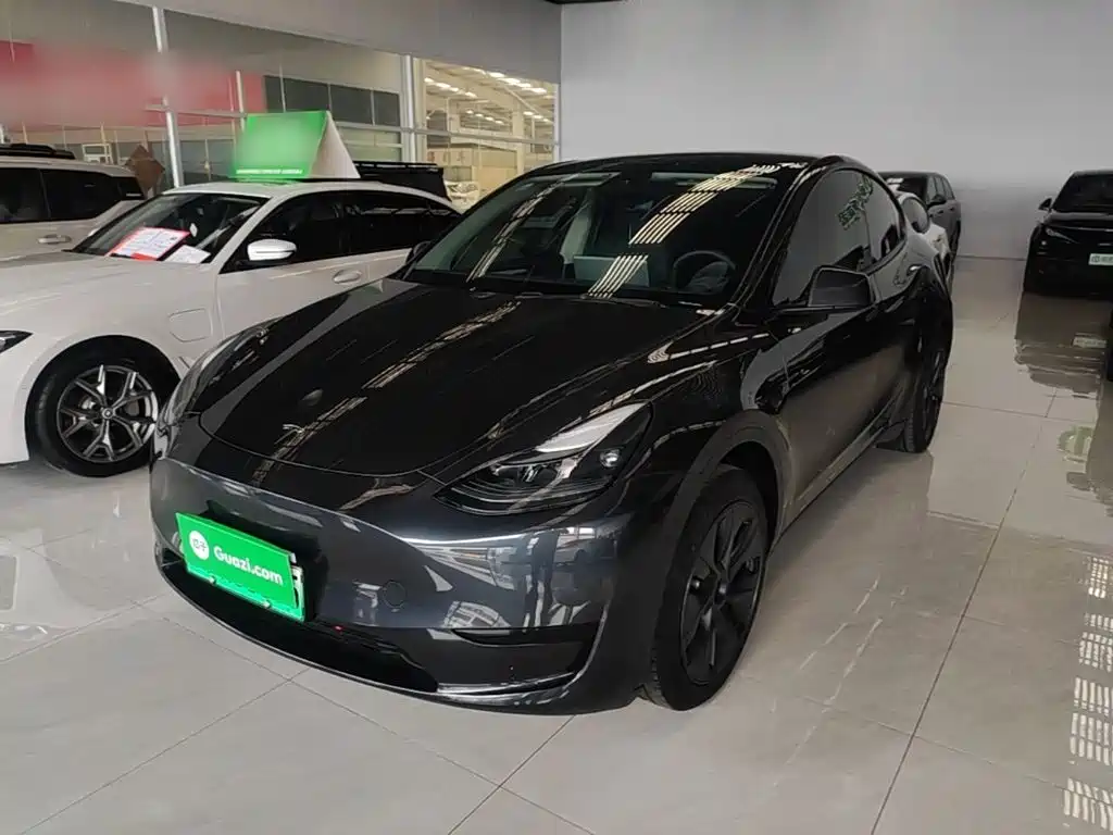 Tesla Model Y — миниатюра 2