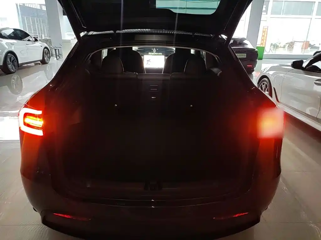 Tesla Model Y — миниатюра 19