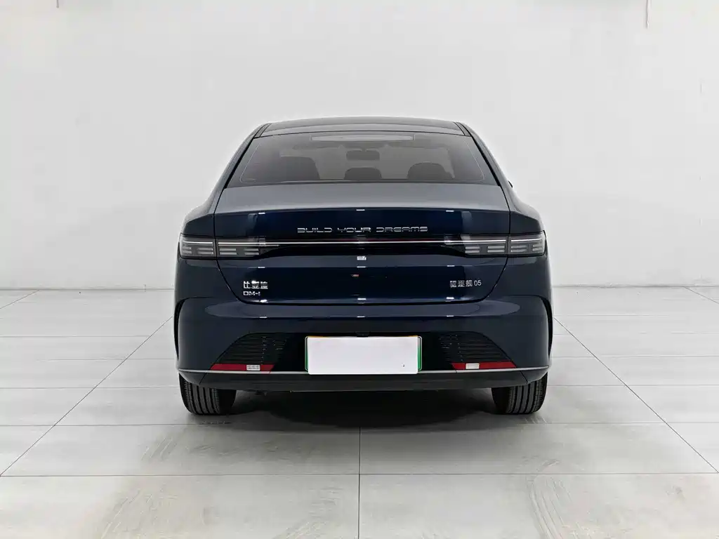 BYD Destroyer 05 2024 DM-i 55KM Luxury