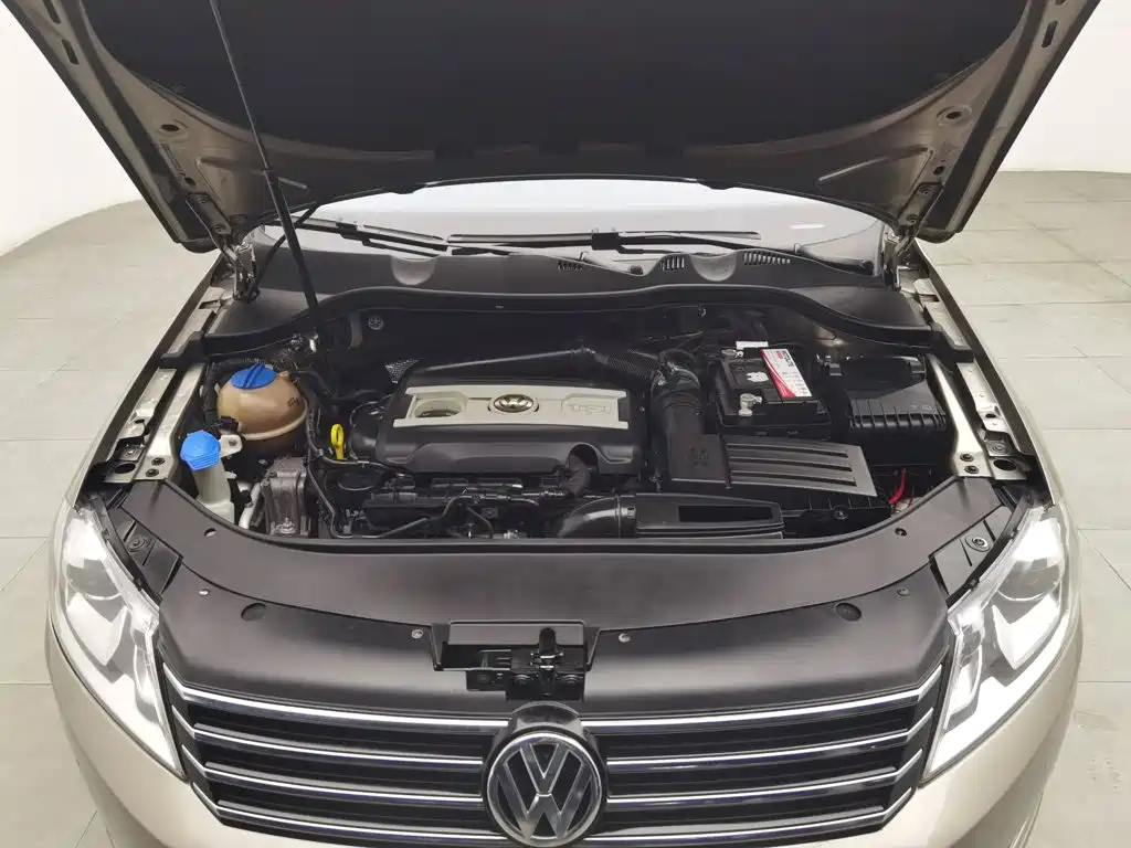 Volkswagen Magotan (Import) — миниатюра 6