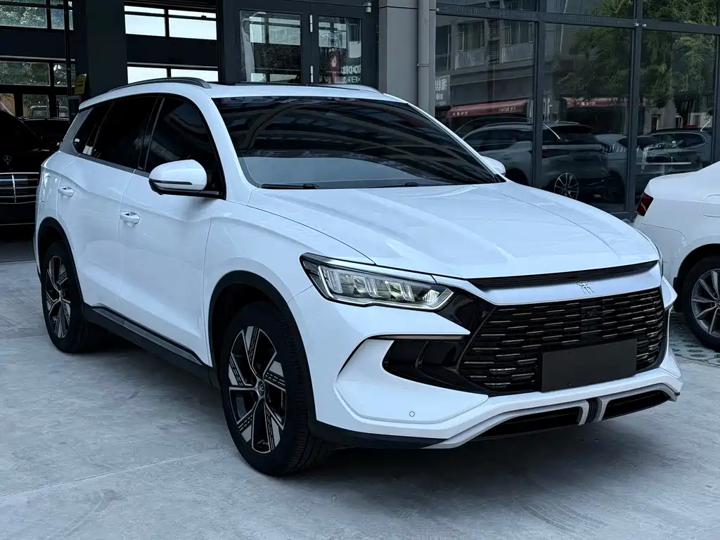 BYD Pro New Energy — миниатюра 3