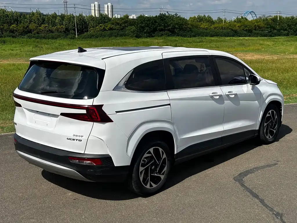 Hyundai Custo — миниатюра 17