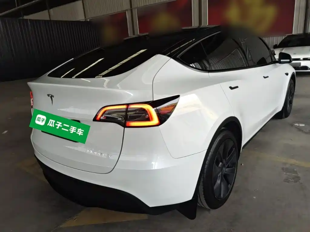 Tesla Model Y — миниатюра 7