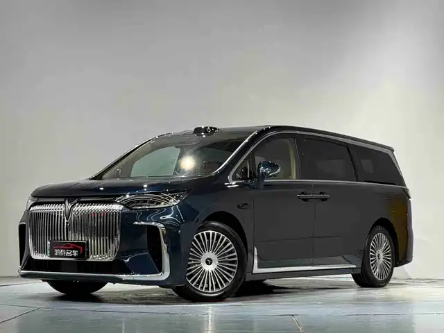 2025 Voyah Dream