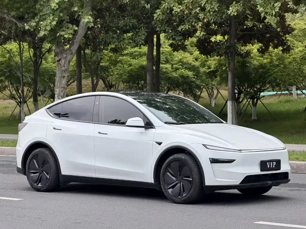 Tesla Model Y — миниатюра 3