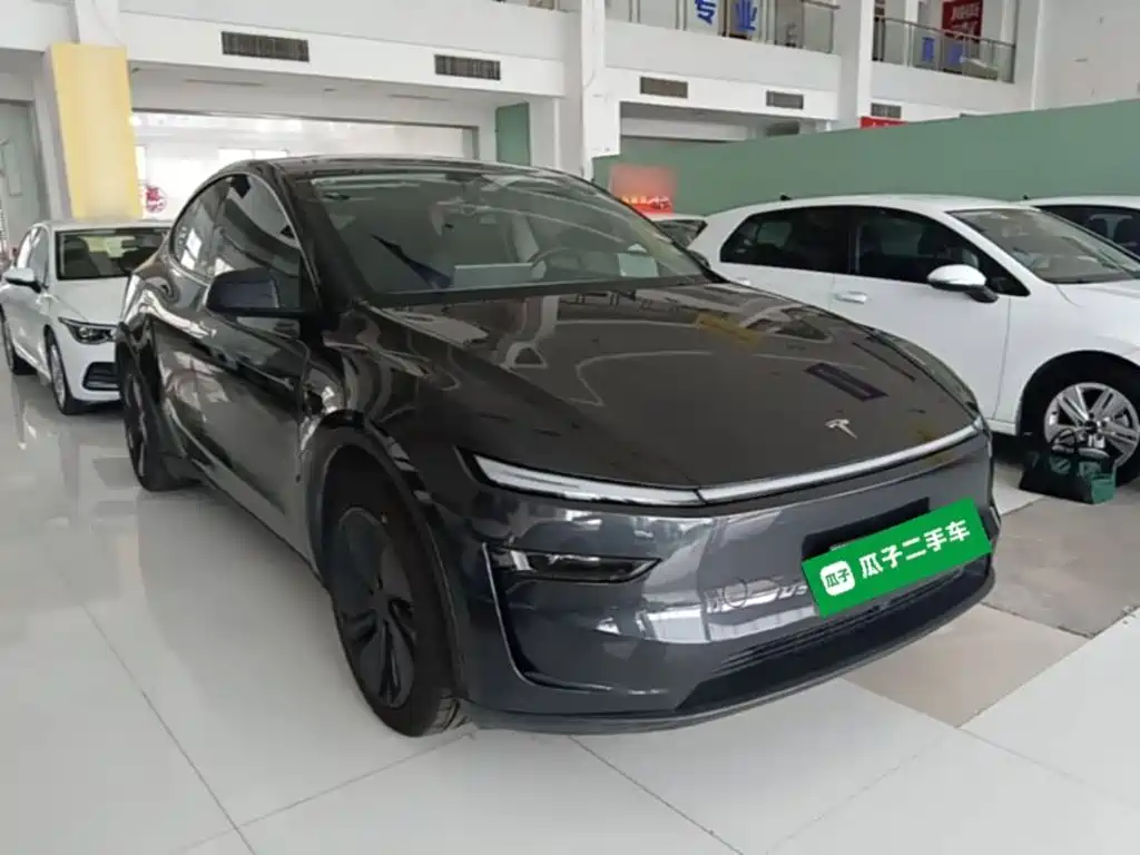 Tesla Model Y — миниатюра 4