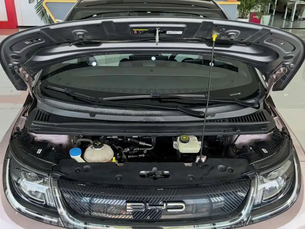 BYD Dolphin — миниатюра 13